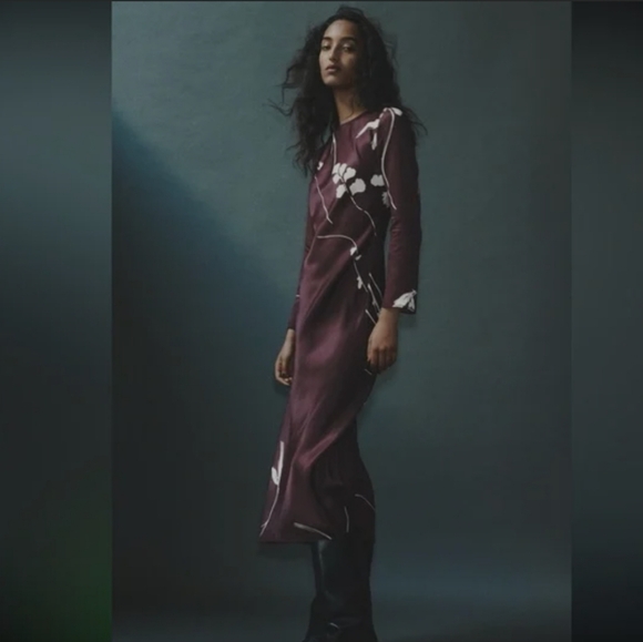 Zara Dresses & Skirts - Dress